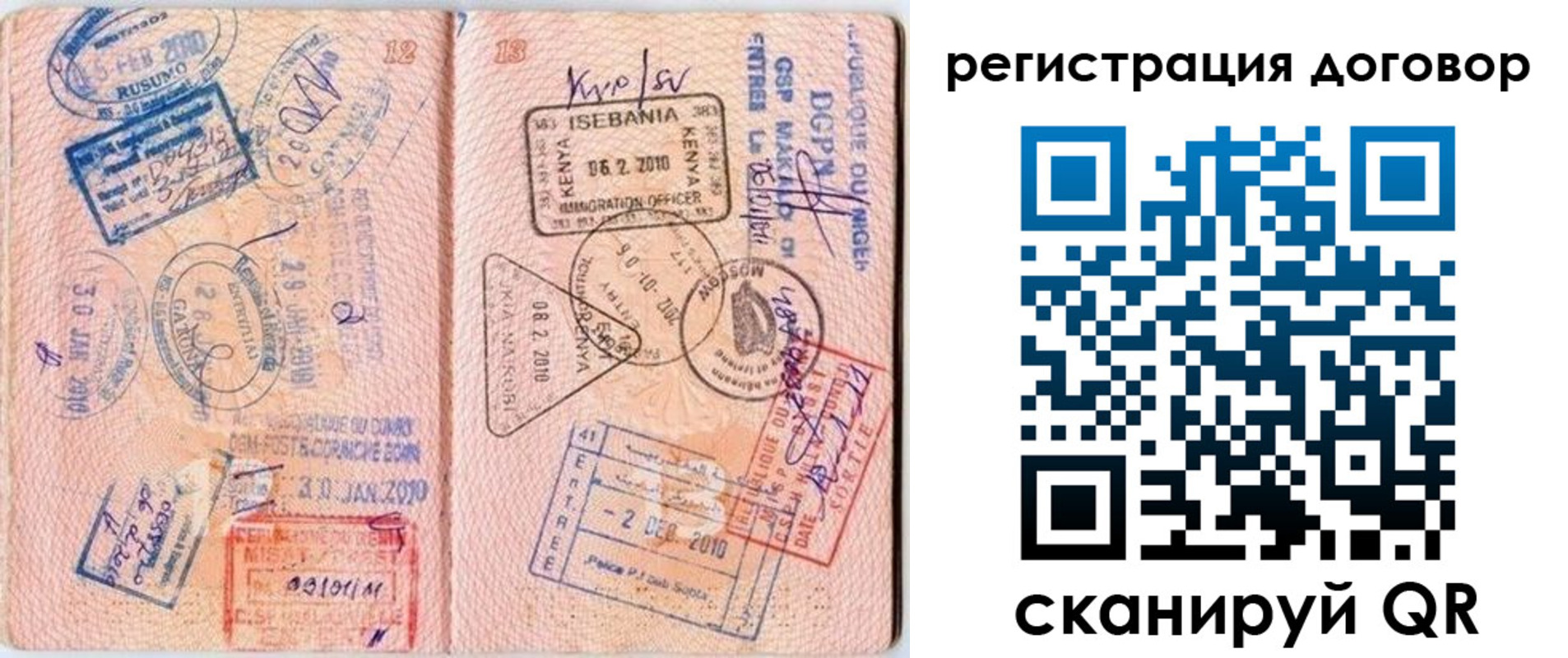 прописка поиск в Электрогорске